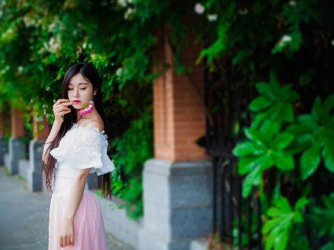 【小说】攻略女神
