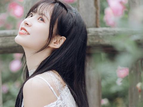 【小说】折花集