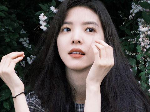 【小说】缝合的白蔷薇