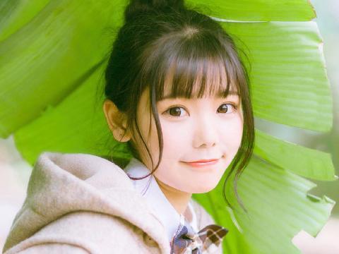 【小说】音乐盒里的女人