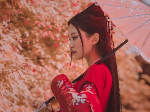 【小说】红楼：扶风录