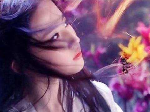 【小说】小龙女传奇：绝情谷底 月圆之夜
