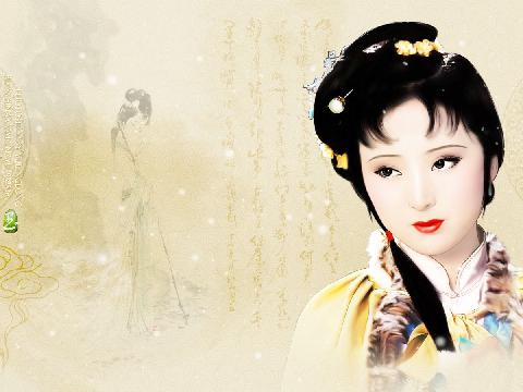 【小说】红楼梦淫传