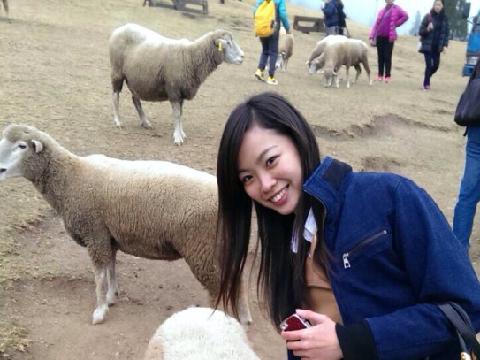【在线视频】淫骚浪贱女友自拍 郑育瑜