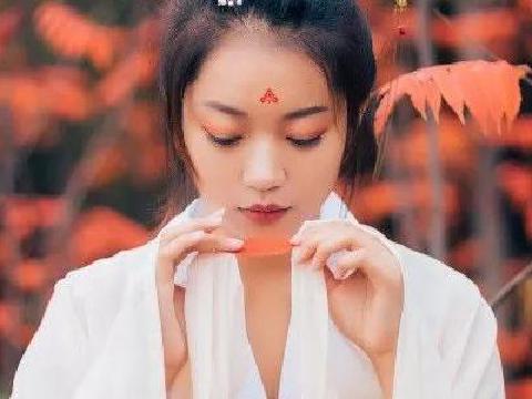 碧梧枝上