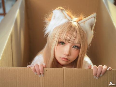 【色图】谁来领养这只小猫咪