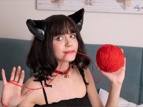 【色图】猫女郎穿黑丝情趣服在床上搔首弄姿