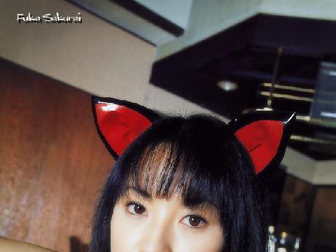可爱猫少女