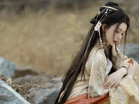 【小说】穿越神雕，我是大宋皇帝 