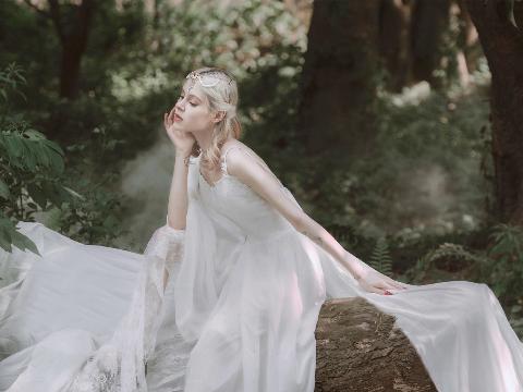 【小说】在女神的帮助下，我成立了理想中的后宫