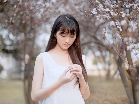 【小说】艳奴天香传