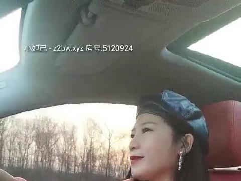 【视频】骚货司仪主持人【单身骚妹】约炮粉丝车震
