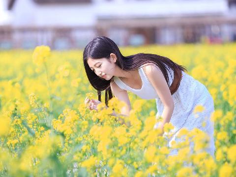 【小说】杏坛性丑闻